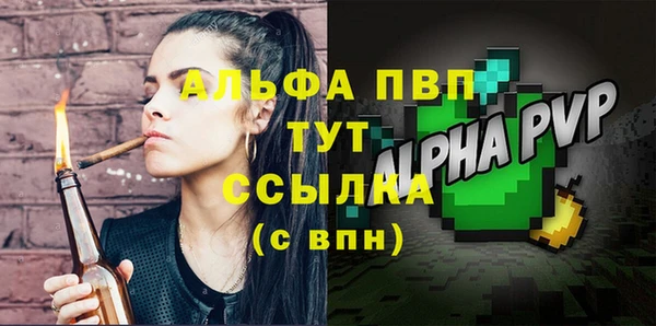 гидра Новозыбков