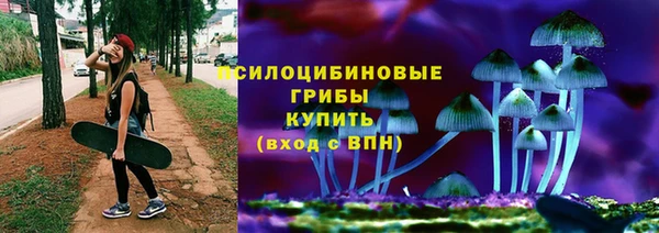 ПСИЛОЦИБИНОВЫЕ ГРИБЫ Нефтегорск