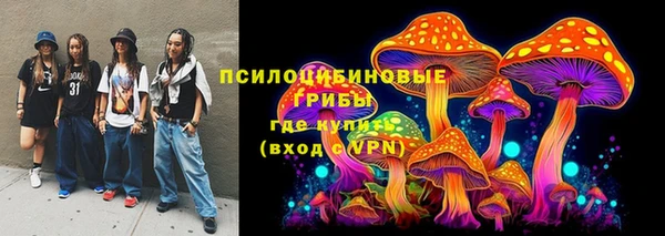 эйфоретик Новодвинск