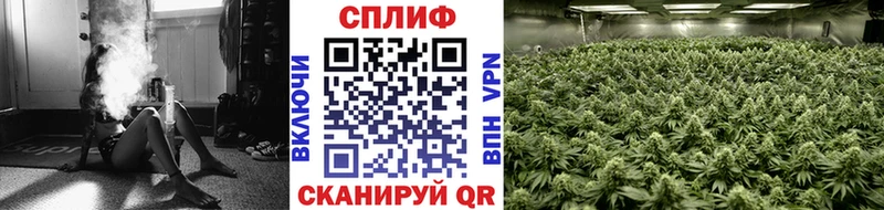 Бошки марихуана Ganja  Купить закладки  Ухта 